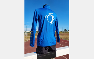 63dfc8f2a4e8a_TeeshirtmanchelonhueaveccolH.jpg