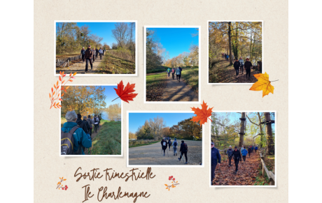 Sortie trimestrielle Ile charlemagne 25 novembre